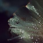 self reflection for personal growth